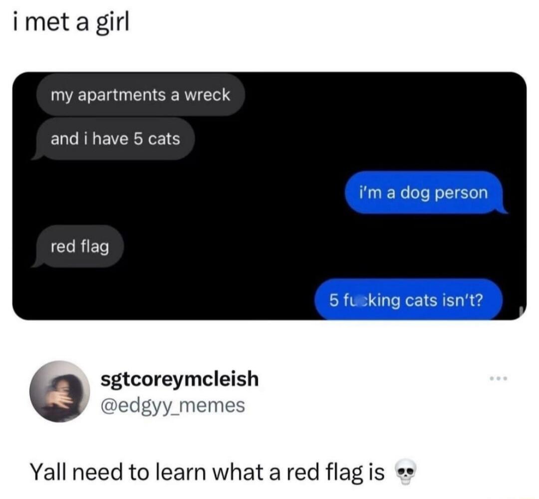 imetagirl my apartments a wreck and i have 5 cats red flag sgtcoreymcleish edgyy memes Yall need to learn what a red flagis