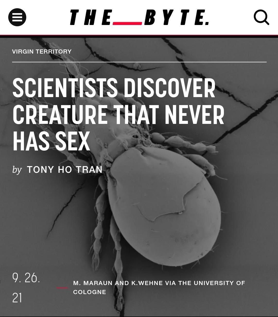 THE_BYTIL Q SCIENTISTS DISCOVER CREATURE THAT NEVER IR D by TONY HO TRAN OOOOOOO Listen to this article o o o o o