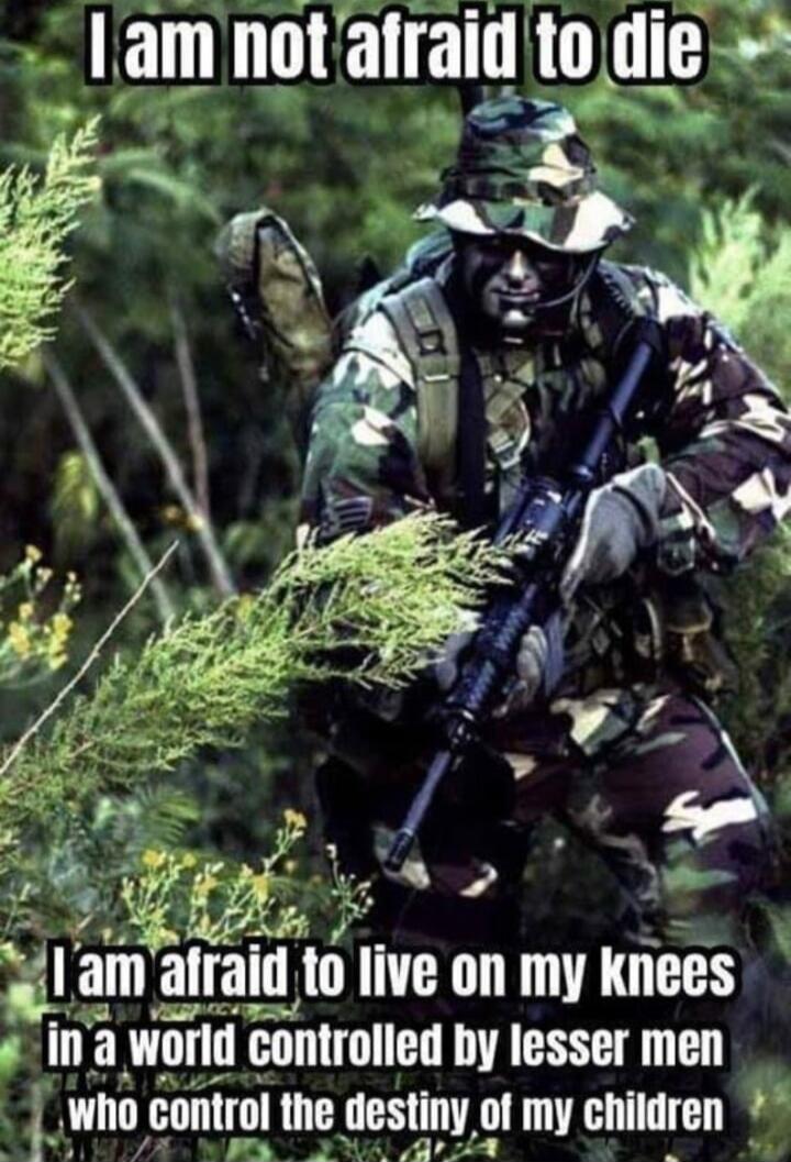 I am not afraid to die
I am afraid to live on my knees in a world controlled by lesser men who control the destiny of my children