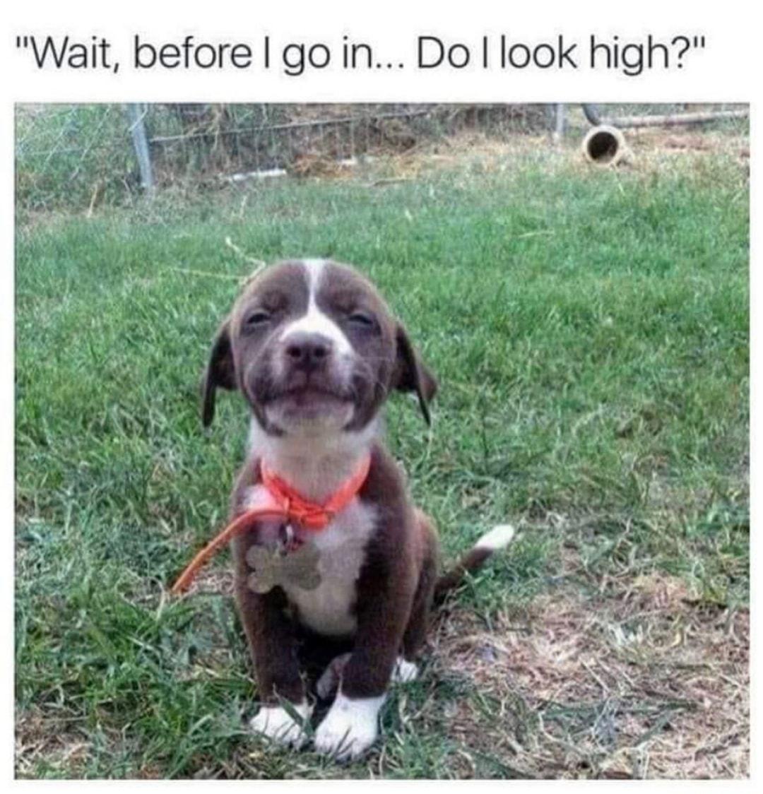 Wait before go in Do look high