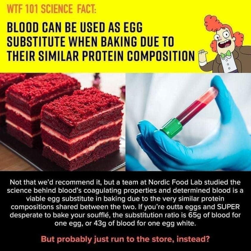 BLOOD CAN BE USED AS EC SUBSTITUTE WHEN BAK HML WHIE o THEIR SIMILAR PROTEIN COMPOSI mm 1B N RN W Tolo s aa T ale MM o TUI R 1yt I 1l N o o oll SloToTs M 1 o RS W e To R 3 science behind bloods coagulating properties and determined blood is a NG RTe o BV 1 Vi CRIg N 1 1aTe Mo VIR oR IRVITa VRS Ty T E Tl T e 1 compositions shared between the two If youre outta eggs and SUPER desperate to bake your 