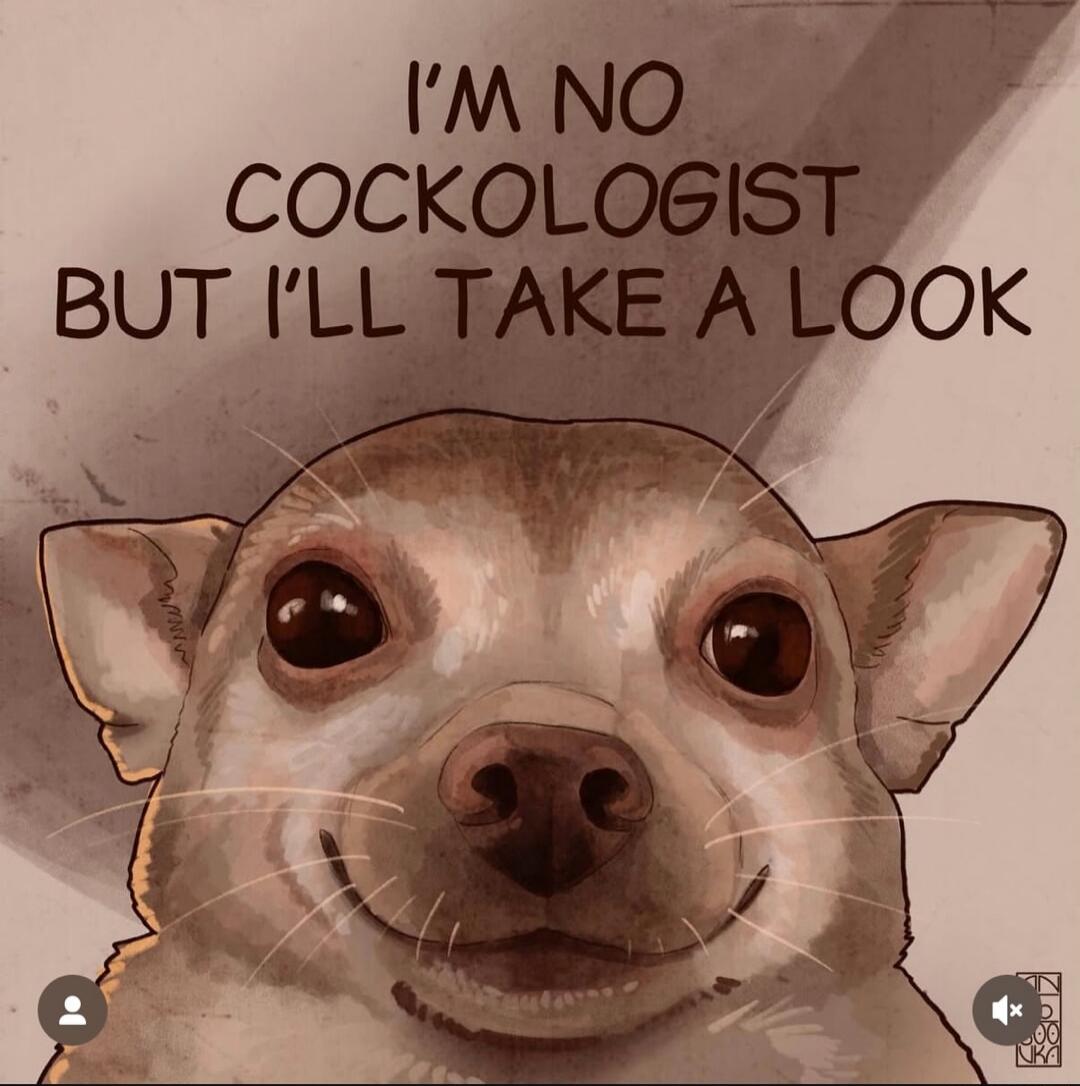 I'M NO COCKOLOGIST BUT I'LL TAKE A LOOK