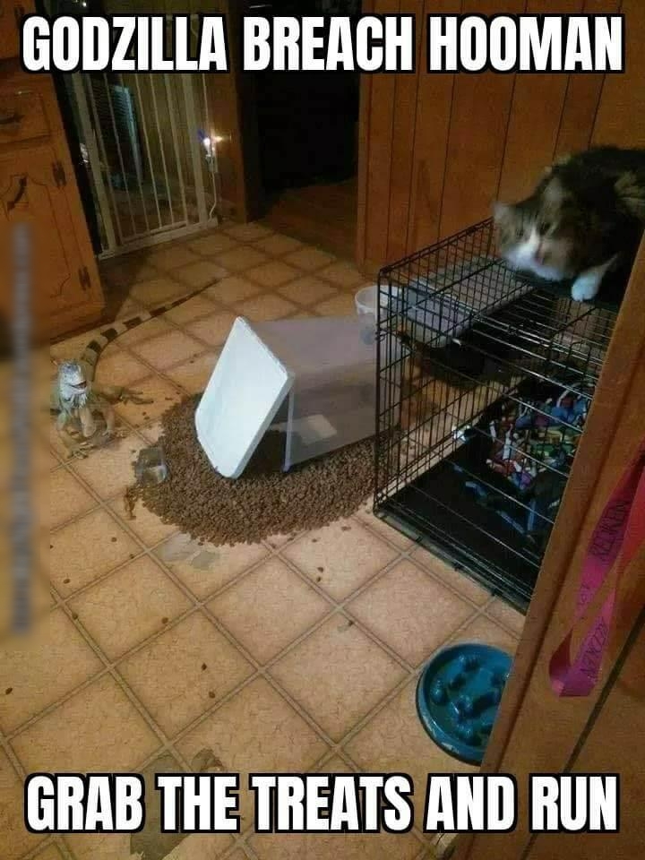 GODZILLA BREACH HOOMAN U et GRABITHETREATS AND RUN