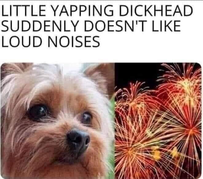 LITTLE YAPPING DICKHEAD SUDDENLY DOESNT LIKE LOUD NOISES p 2