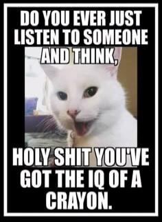DO YOU EVER JUST LISTEN TO SOMEONE AND THINK, HOLY SHIT YOU'VE GOT THE IQ OF A CRAYON.