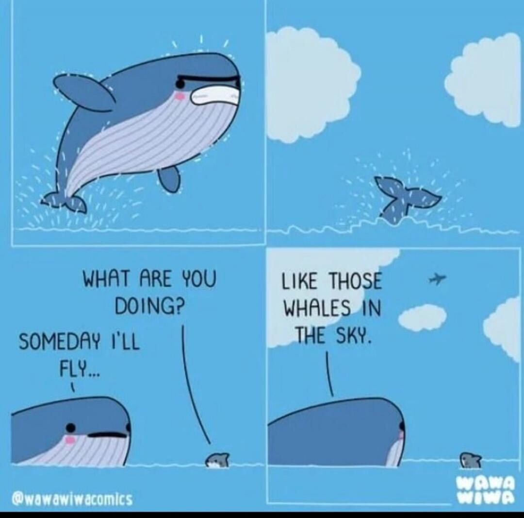 WHAT ARE YOU DOING? SOMEDAY I'LL FLY... LIKE THOSE WHALES IN THE SKY.