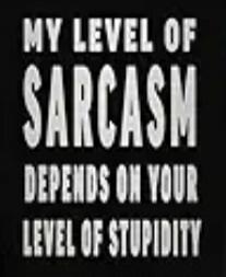 MY LEVEL OF SARCASM DEPENDS ON YOUR LEVEL OF STUPIDITY