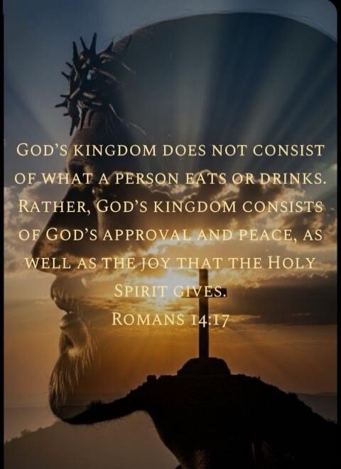 God's kingdom does not consist of what a person eats or drinks. Rather, God's kingdom consists of God's approval and peace, as well as the joy that the Holy Spirit gives. Romans 14:17