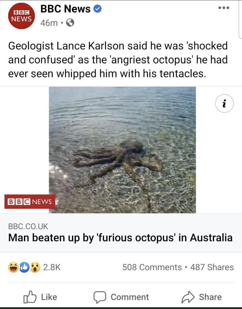 BBC News s6m Q Geologist Lance Karlson said he was shocked and confused as the angriest octopus he had ever seen whipped him with his tentacles e BB CINEAVAN 4 BBCCOUK Man beaten up by furious octopus in Australia D 28K 508 Comments 487 Shares fb Like D Comment d Share