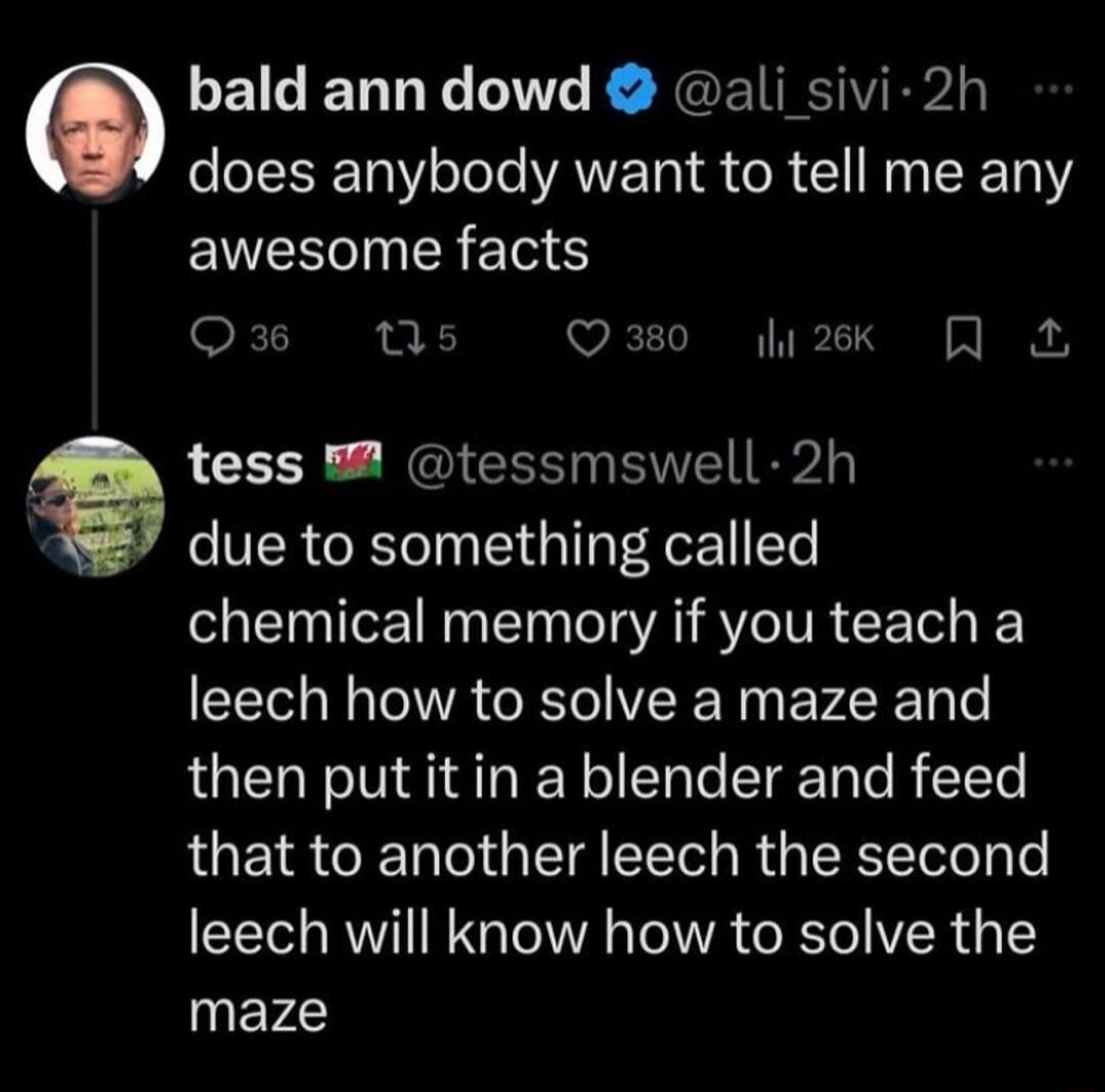 bald ann dowd ali sivi 2h does anybody want to tell me any awesome facts SRR E VR RS tess M tessmswell 2h due to something called EI T TN TN T A SOV CE o leech how to solve a maze and then putitin a blender and feed that to another leech the second leech will know how to solve the maze