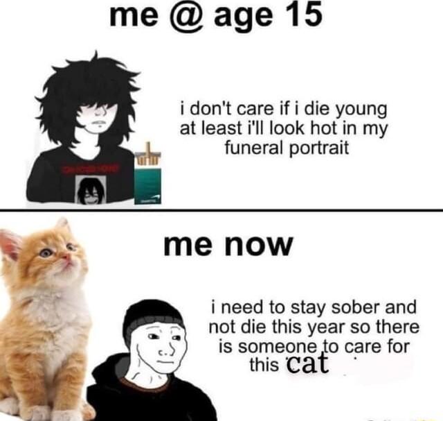 me age 15 idont care if i die young at least ill look hot in my funeral portrait me now i need to stay sober and not die this year so there is someonefo care for thiscat