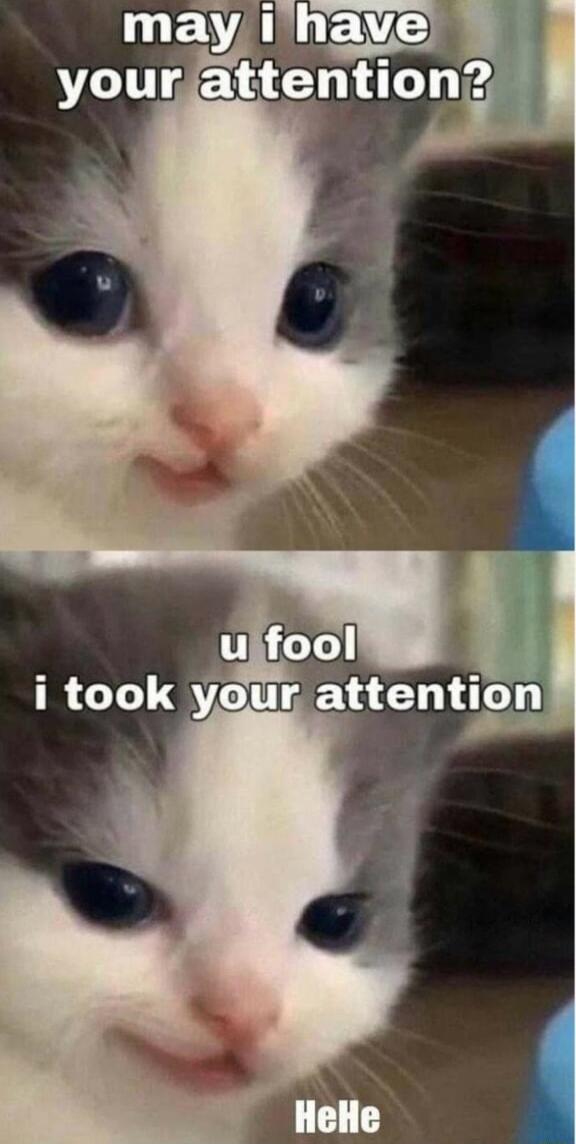 may ihave youraattention ujfool i took your atten