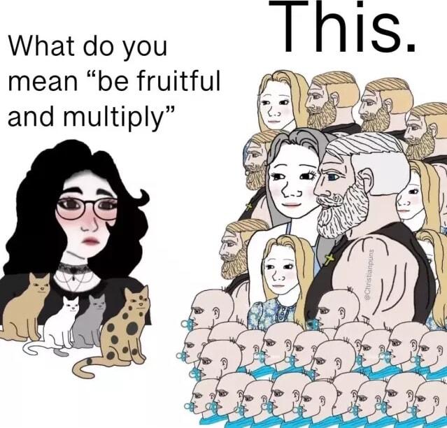 What do you I S mean be fruitful s and multiply