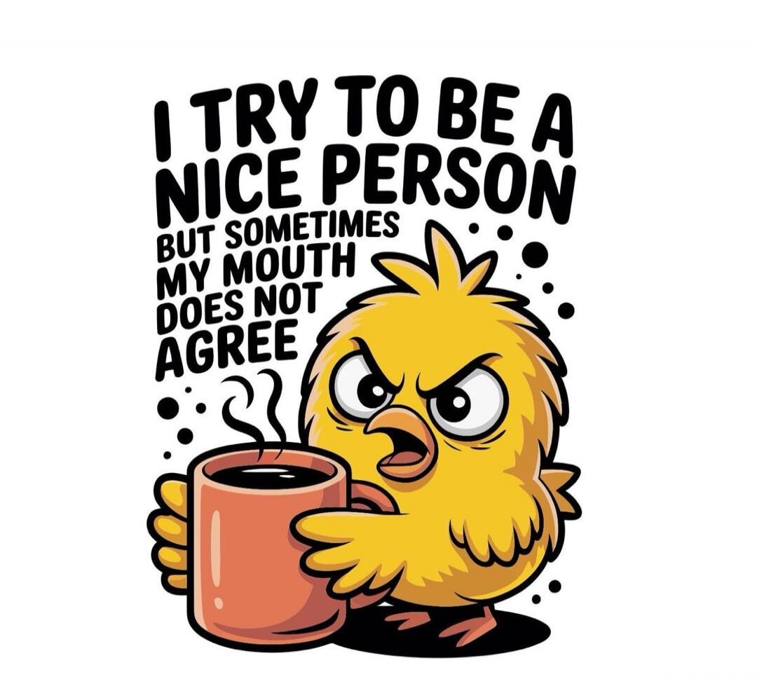 I TRY TO BE A NICE PERSON BUT SOMETIMES MY MOUTH DOES NOT AGREE