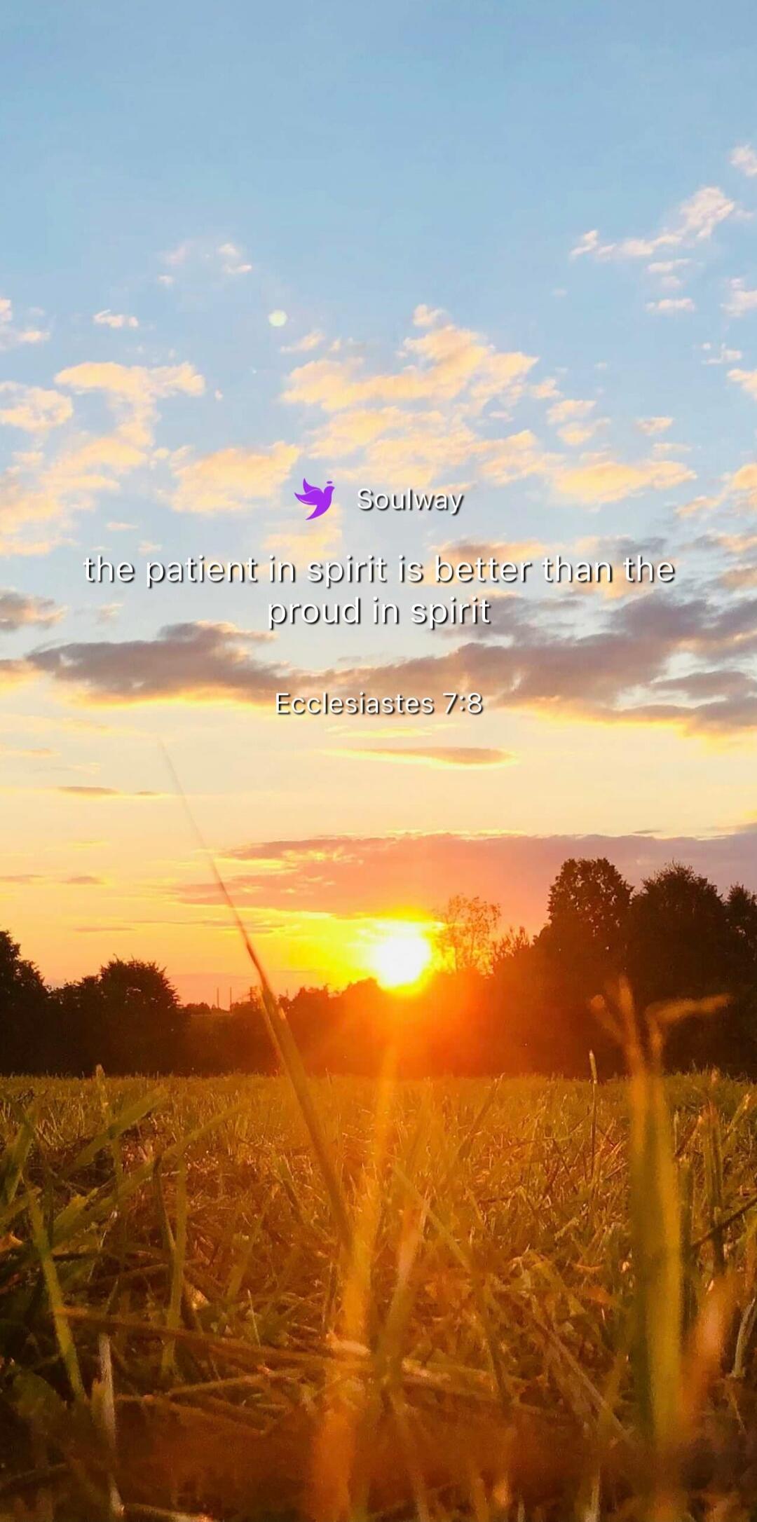 Soulway the patient in spirit is better than the proud in spirit Ecclesiastes 7:8