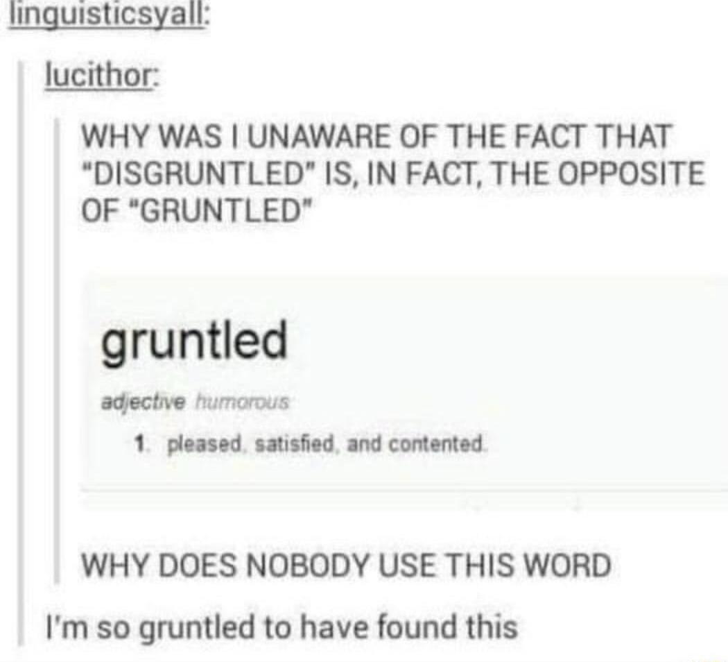 linguisticsyall lucithor WHY WAS UNAWARE OF THE FACT THAT DISGRUNTLED IS IN FACT THE OPPOSITE OF GRUNTLED gruntled adective humorous 1 pleased satisfied and contented WHY DOES NOBODY USE THIS WORD Im so gruntled to have found this