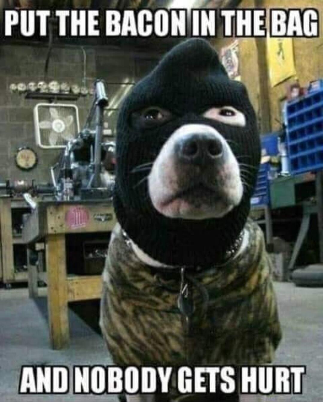 PUT THE BACON IN THE BAG AND NOBODY GETS HURT