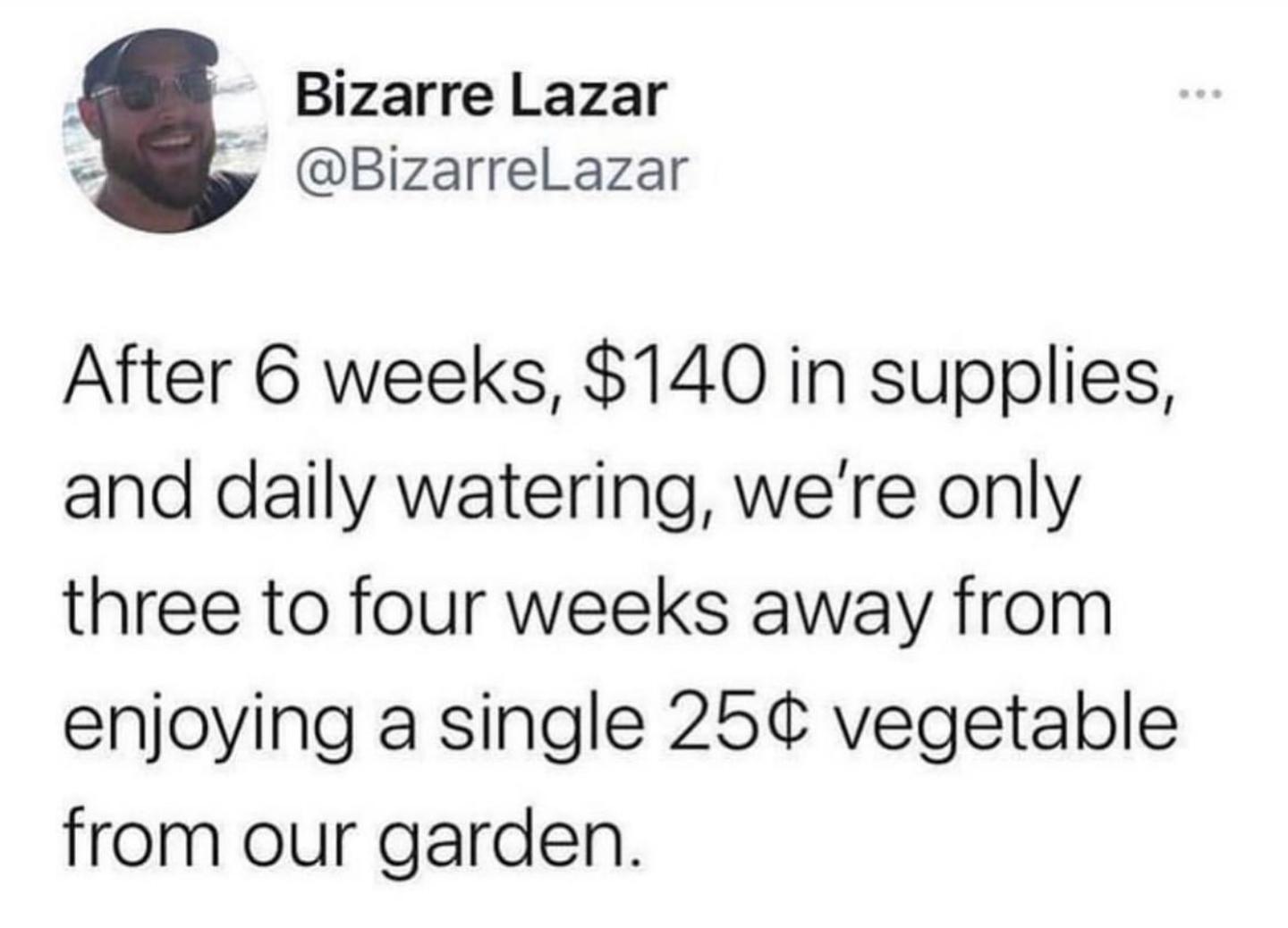 J Bizarre Lazar y BizarreLazar After 6 weeks 140 in supplies and daily watering were only three to four weeks away from enjoying a single 25 vegetable from our garden