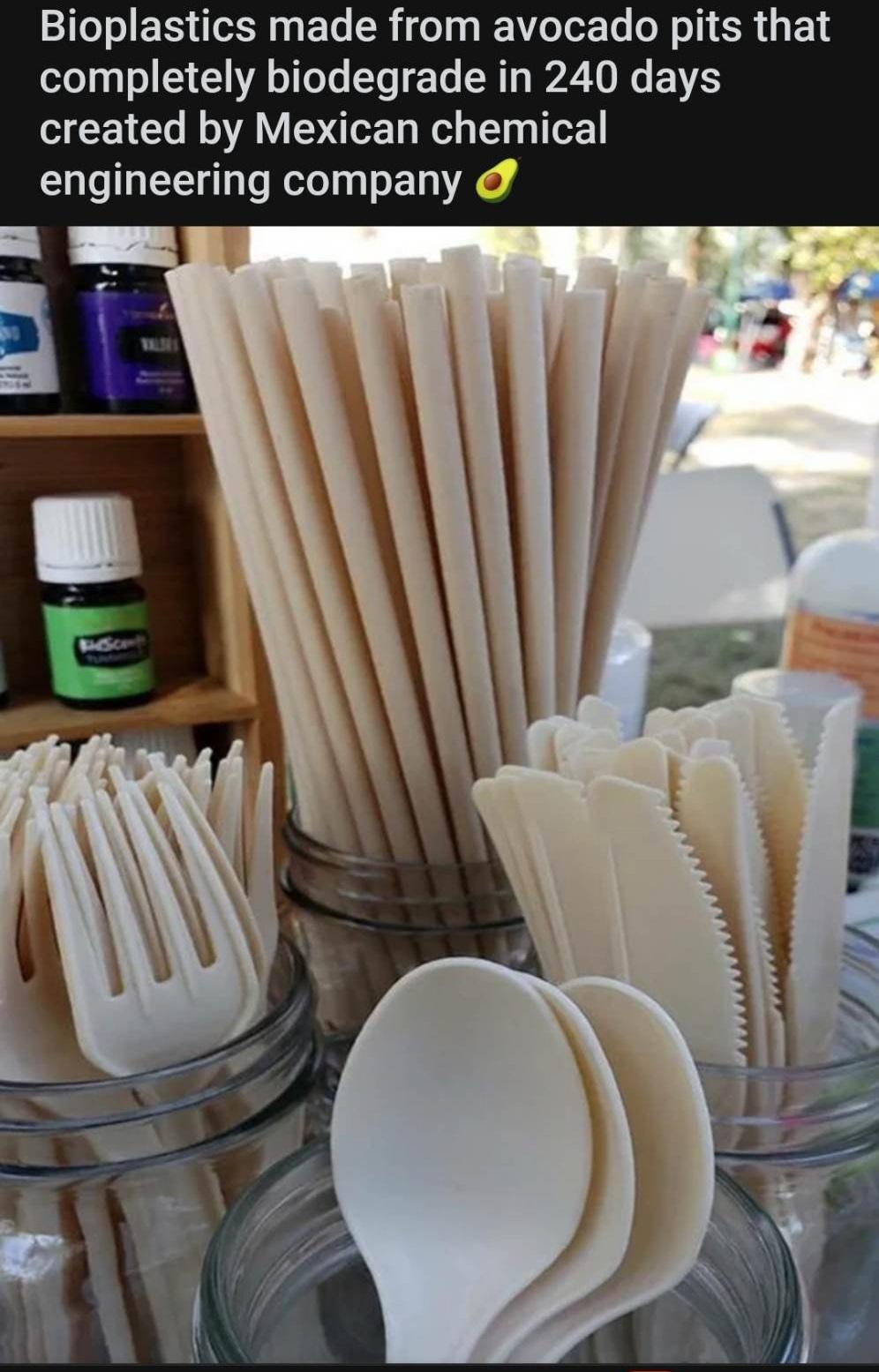 Bioplastics made from avocado pits that completely biodegrade in 240 days created by Mexican chemical engineering company