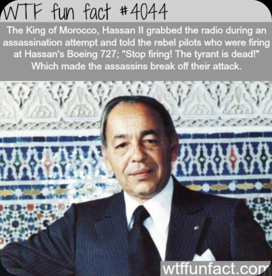 WTF fun fact 4044