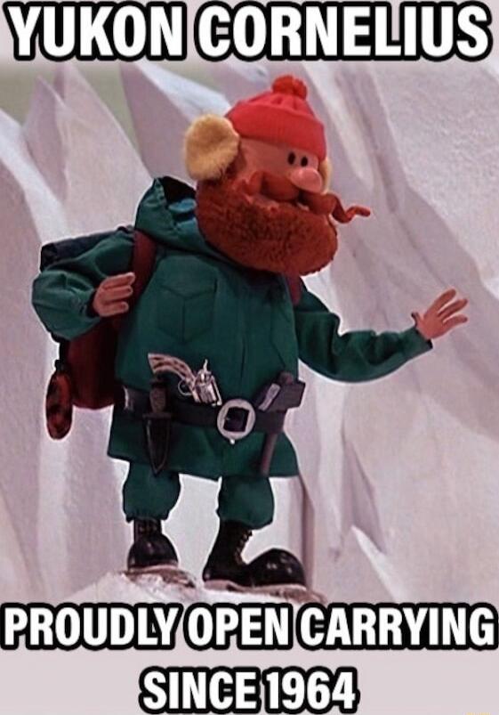 PROUDLYOPENICARRYING SITEHERD