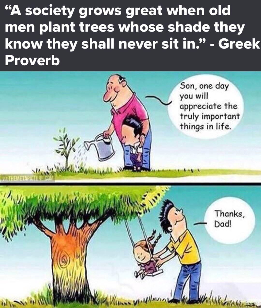 A society grows great when old men plant trees whose shade they UGQIA GIEE U NG GEVET EY I Y 1 Proverb Son one day you will appreciate the truly important things in life