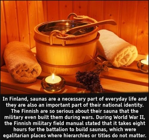 NS In Finland saunas are a necessary part of everyday life and they are also an important part of their national identity QLG UL TS TRV EEL LITHE LN S G T ERGEIS 1 1Y military even built them during wars During World War II the Finnish military field manual stated that it takes eight LCTTER IR TR B ENTL R CRTC ST EERV T R egalitarian places where hierarchies or titles do not matter