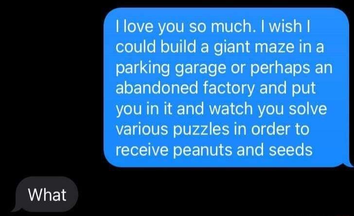 Ilove you so much Iwish could build a giant maze in a parking garage or perhaps an abandoned factory and put you in it and watch you solve various puzzles in order to receive peanuts and seeds What