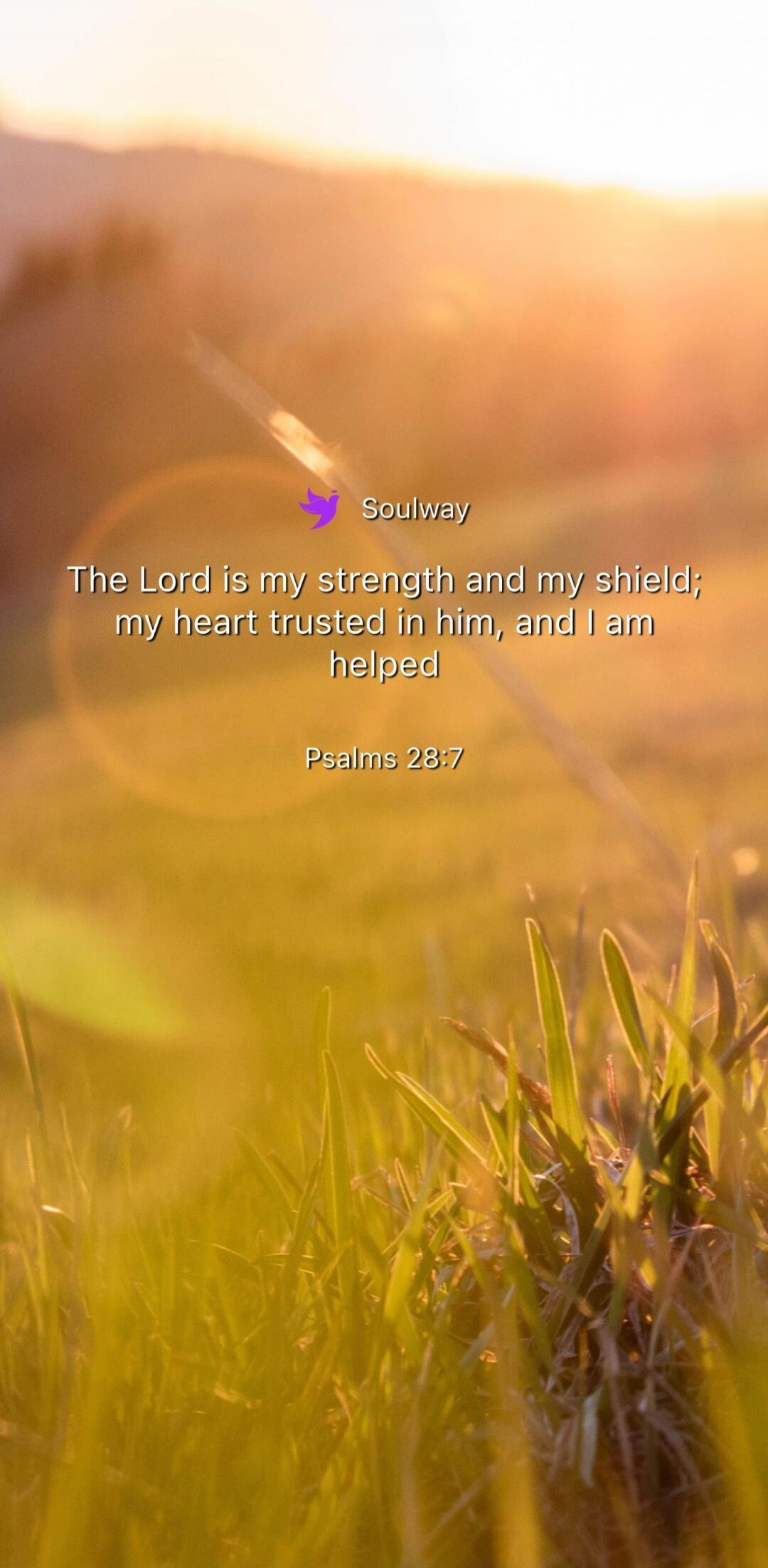 Soulway
The Lord is my strength and my shield; my heart trusted in him, and I am helped
Psalms 28:7