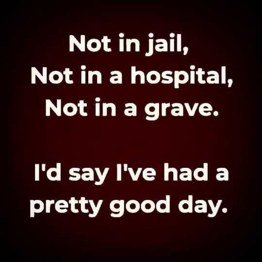 Not in jail N AL R Not in a grave N EEARVEN G EL K pretty good day