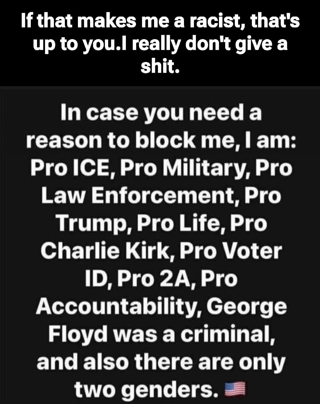 If that makes me a racist, that's up to you. I really don't give a shit. In case you need a reason to block me, I am: Pro ICE, Pro Military, Pro Law Enforcement, Pro Trump, Pro Life, Pro Charlie Kirk, Pro Voter ID, Pro 2A, Pro Accountability, George Floyd was a criminal, and also there are only two genders.