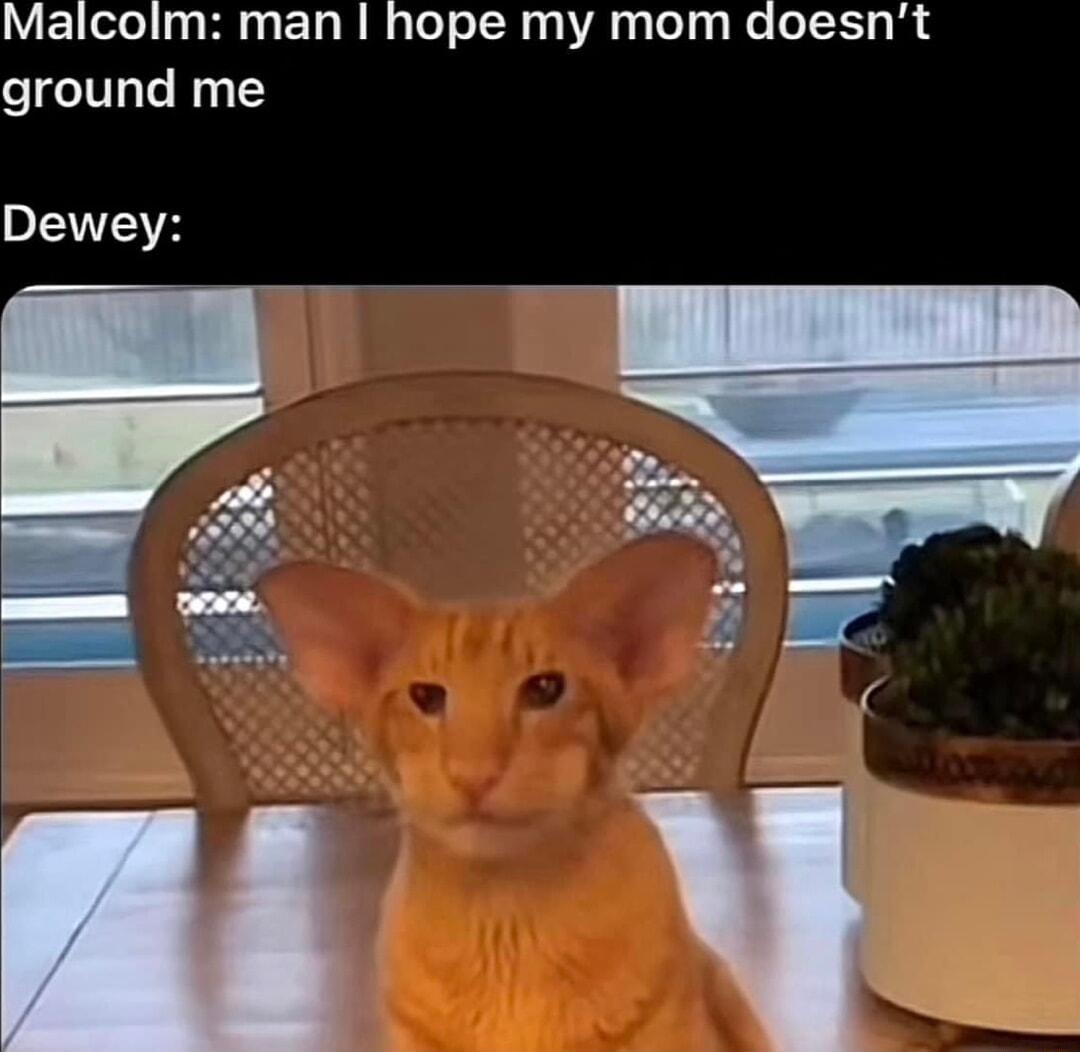 Malcolm man hope my mom doesnt ground me ISV