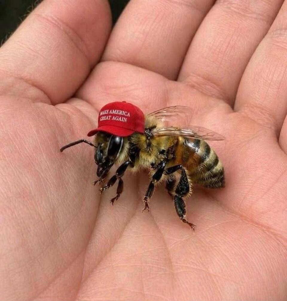 MAKE AMERICA GREAT AGAIN