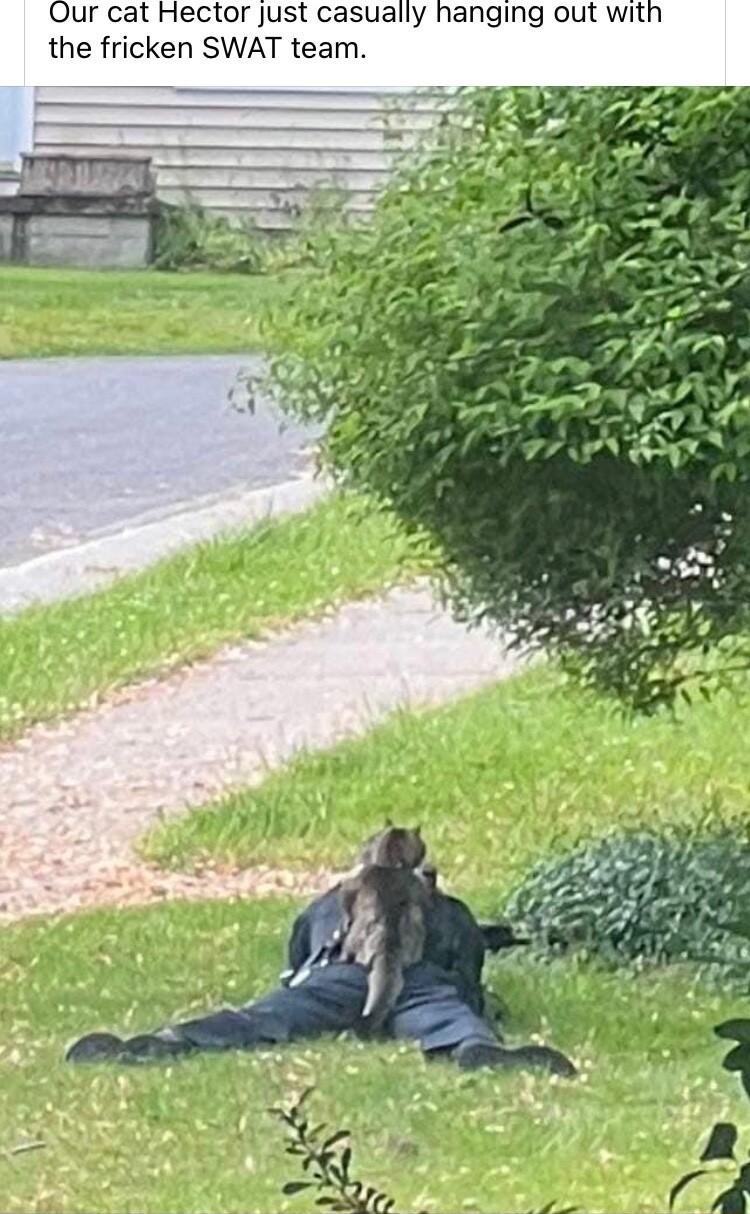 Qur cat Hector just casually hanging out with the fricken SWAT team