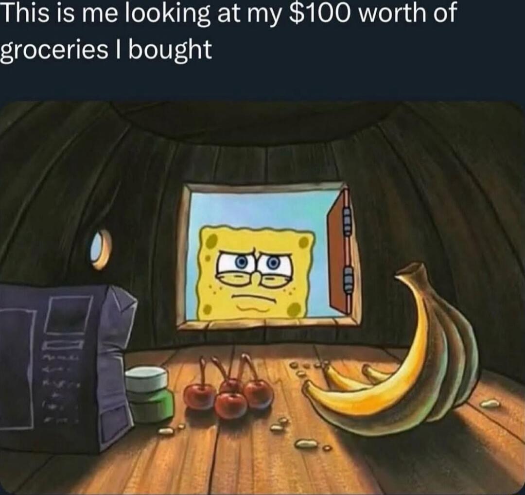 This is me looking at my $100 worth of groceries I bought