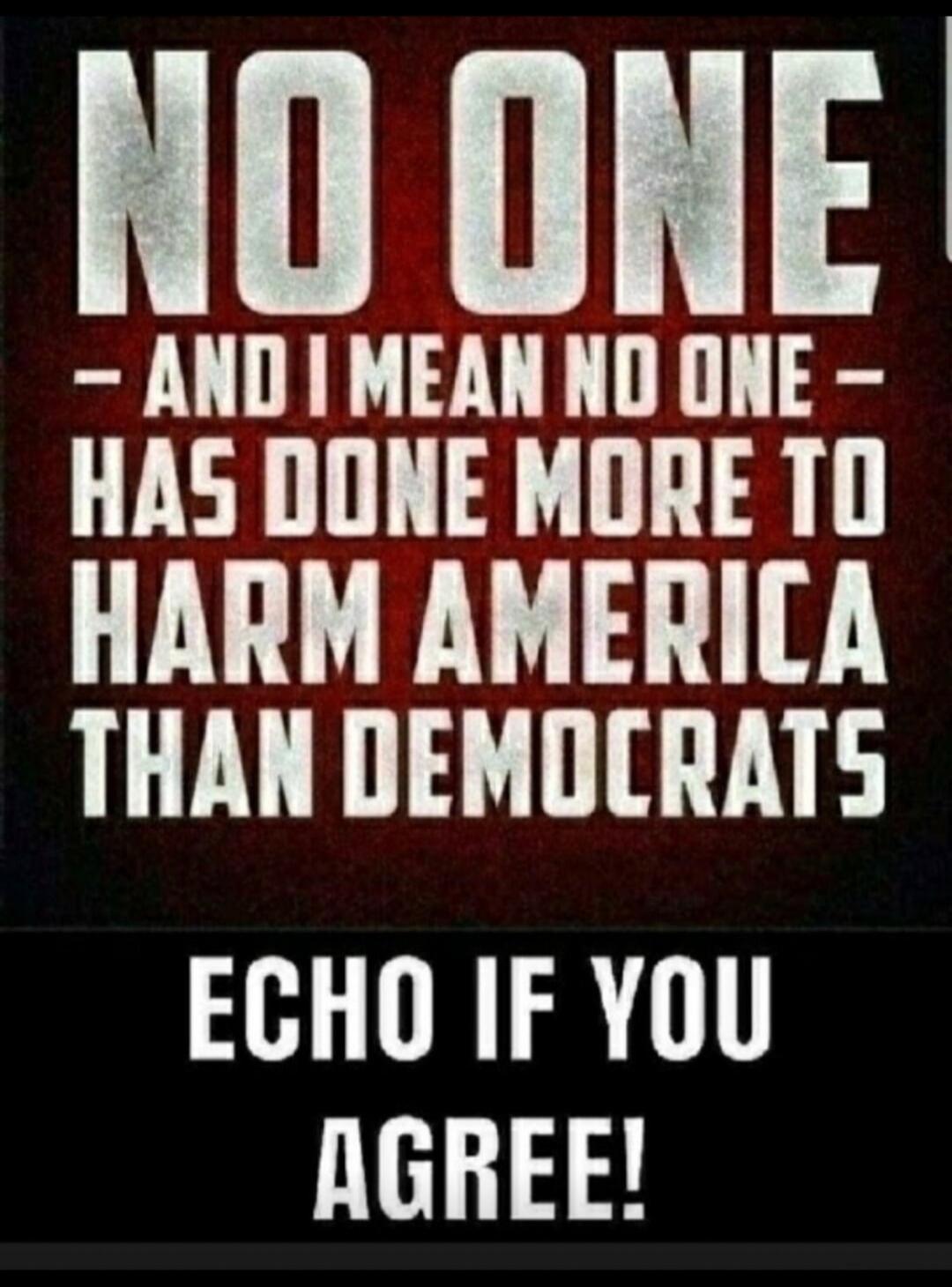 NO ONE - AND I MEAN NO ONE - HAS DONE MORE TO HARM AMERICA THAN DEMOCRATS. ECHO IF YOU AGREE!