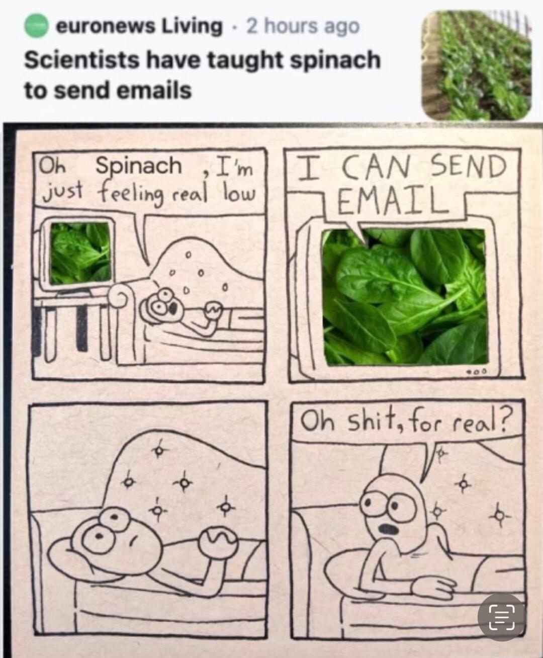 euronews Living 2 h Scientists have taught spinach to send emails ours ago Oh Spinach Im Just feeling ceal low I CAN_SEND EMAIL i Oh shitfor real