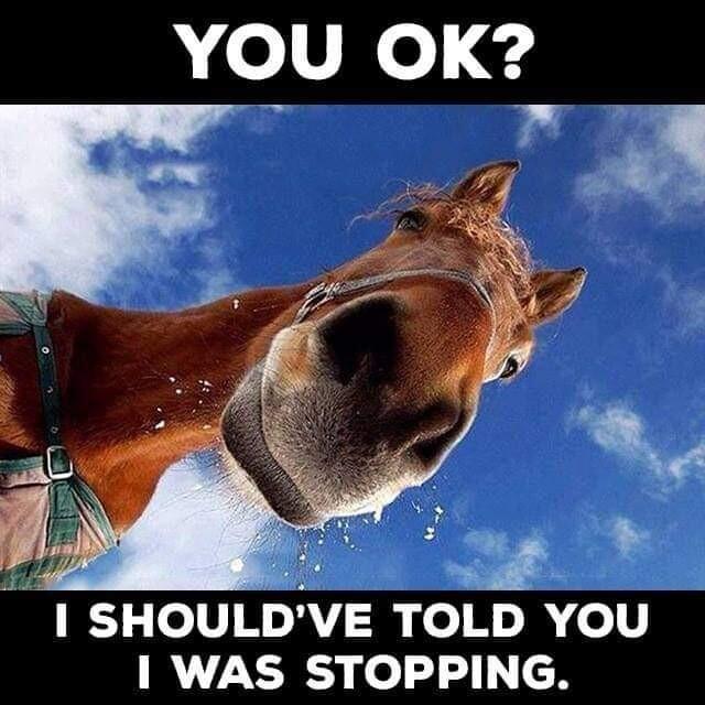 1 SHOULDVE TOLD YOU 1 WAS STOPPING