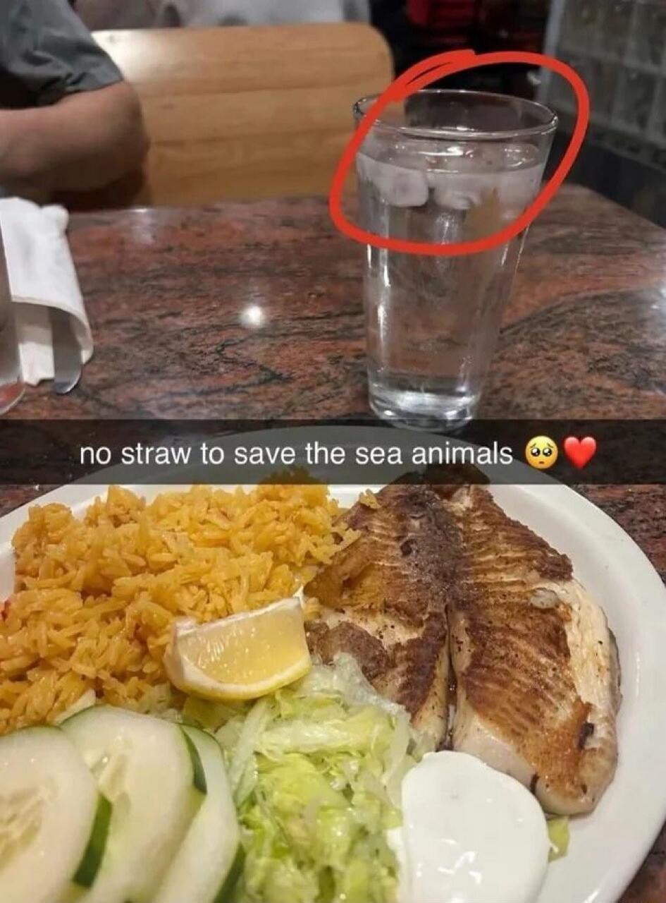 no straw to save the sea animals 🥺❤️