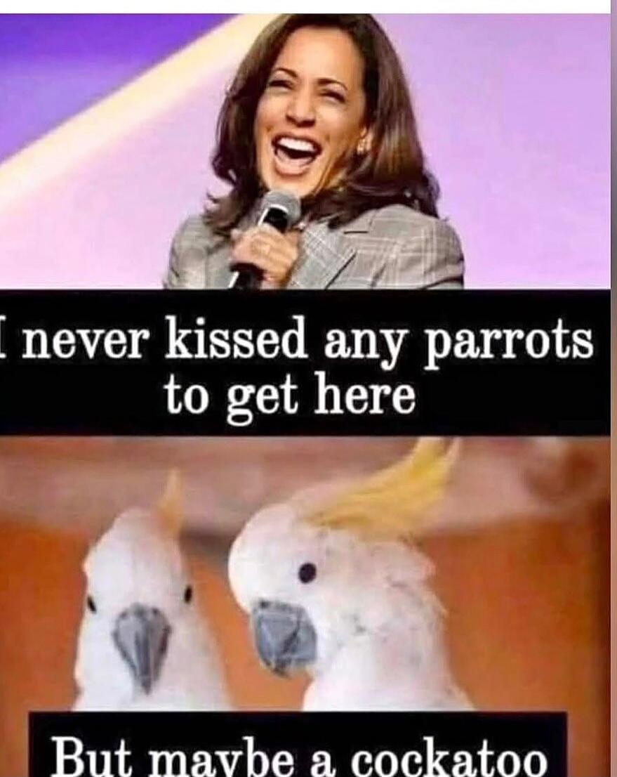 I never kissed any parrots to get here But maybe a cockatoo