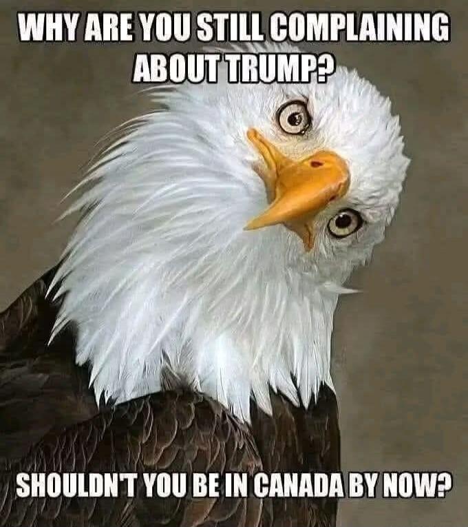 WHY ARE YOU STILL COMPLAINING ABOUT TRUMP? SHOULDN'T YOU BE IN CANADA BY NOW?