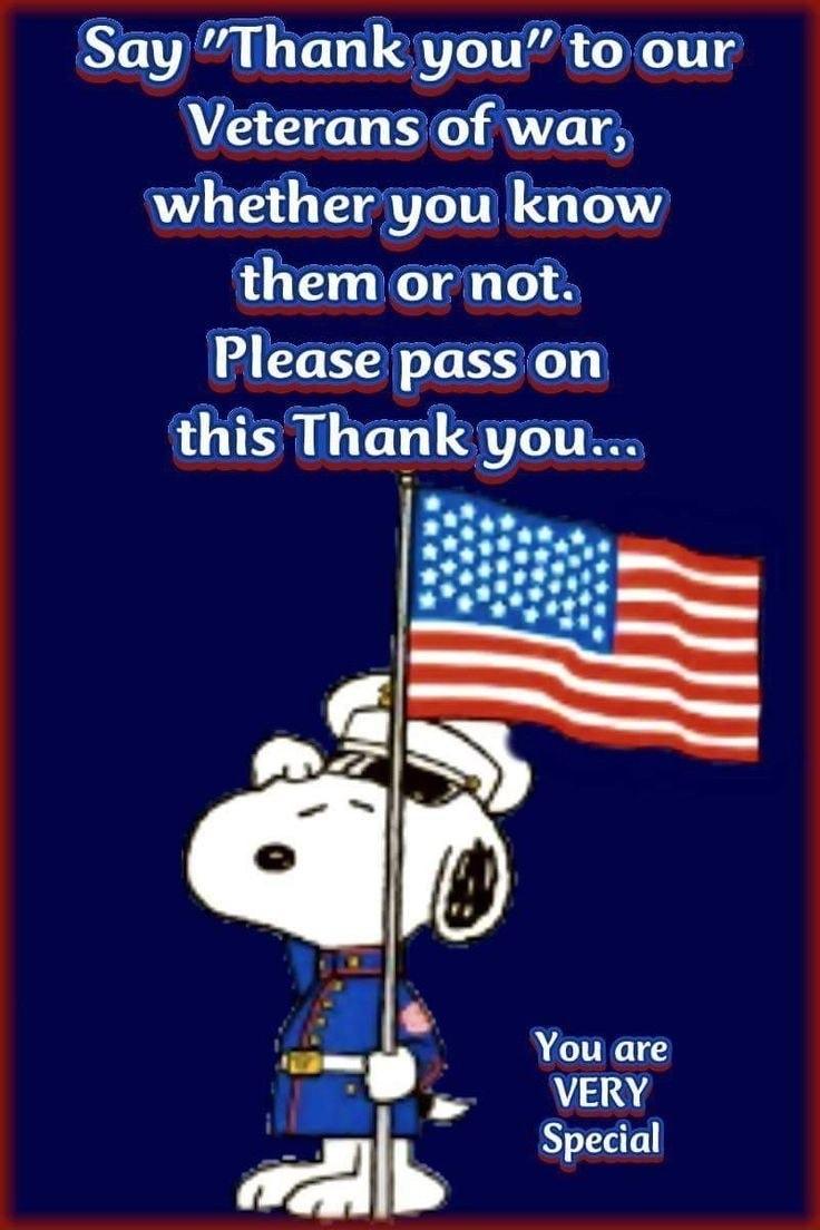 Say Thank you to our Veterans of war whether you know them or not Please pass on ffhap 3 10 You are VERY g Special