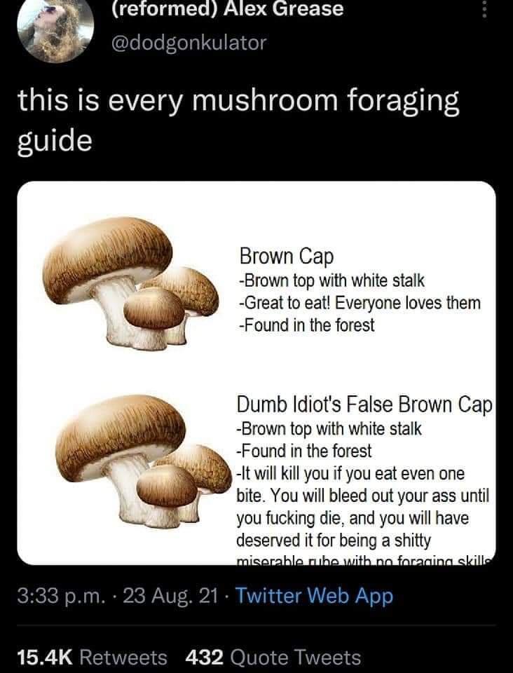 retormed Alex Grease dodgonkulator this is every mushroom foraging guide Brown Cap Brown top with white stalk Great to eat Everyone loves them Found in the forest Dumb Idiots False Brown Cap Brown top with white stalk Found in the forest It will kill you if you eat even one bite You will bleed out your ass until you fucking die and you will have deserved it for being a shitty CRCIC o N WE2C AV T 3