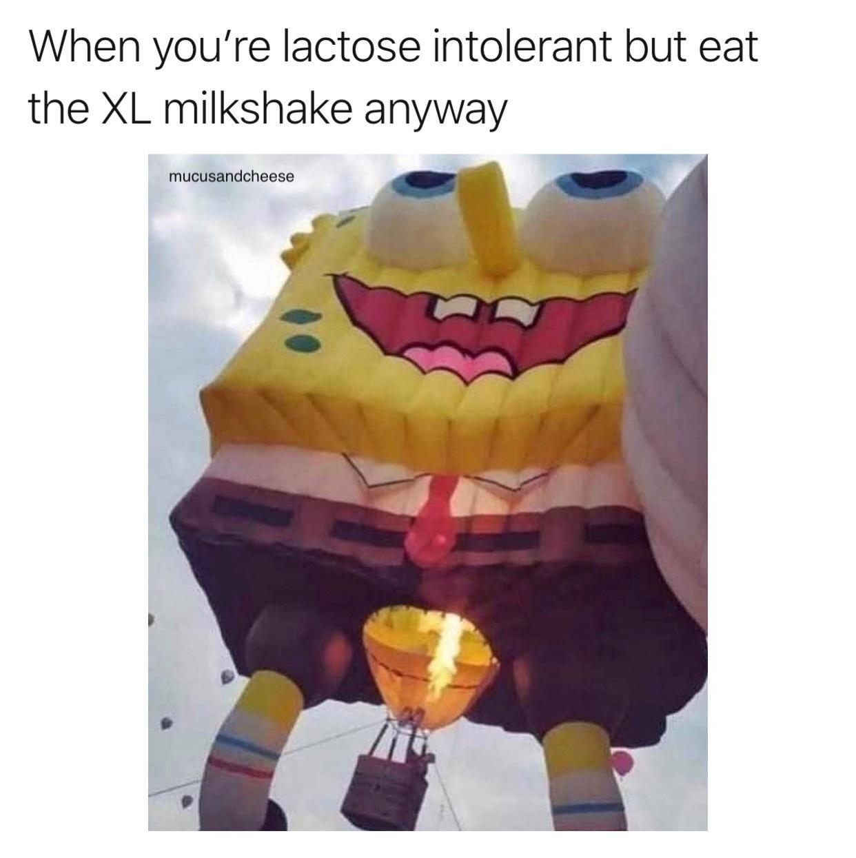 When youre lactose intolerant but eat the XL milkshake anyway mucusandcheese