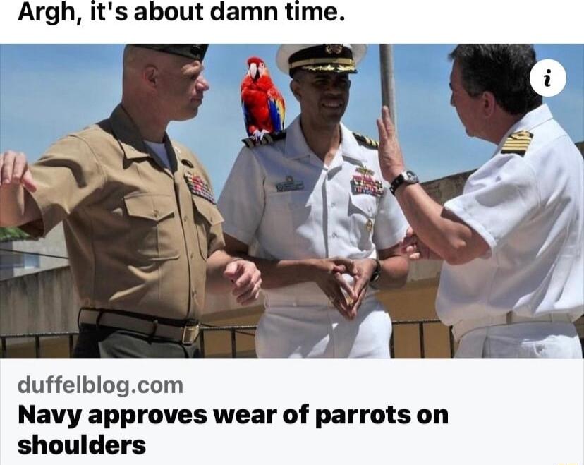 Argh its about damn time duffelblogcom Navy approves wear of parrots on shoulders