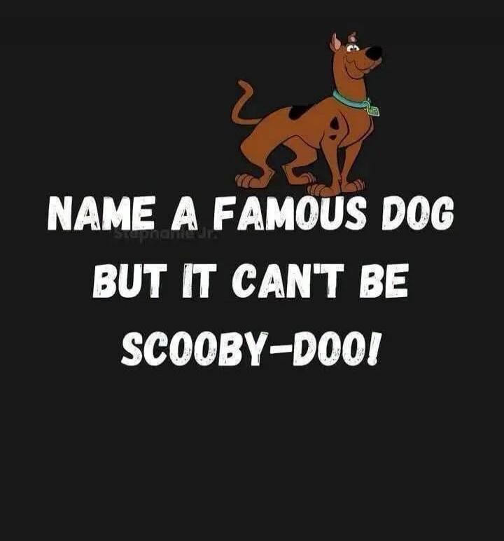 NAME A FAMOUS DOG BUT IT CAN'T BE SCOOBY-DOO!