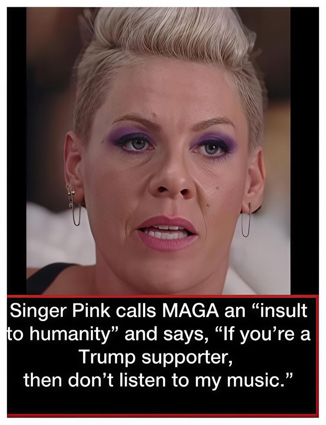 Singer Pink calls MAGA an “insult to humanity” and says, “If you’re a Trump supporter, then don’t listen to my music.”