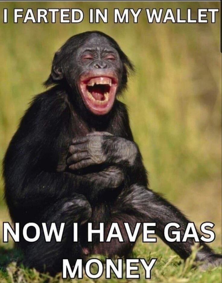 I FARTED IN MY WALLET NOW I HAVE GAS MONEY