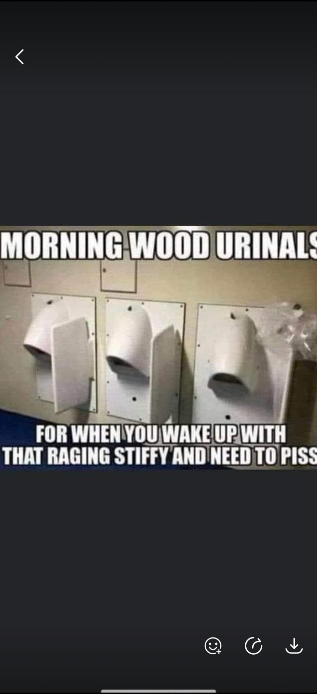 MORNING WOOD URINALS FOR WHEN YOU WAKE UP WITH THAT RAGING STIFFY AND NEED TO PISS