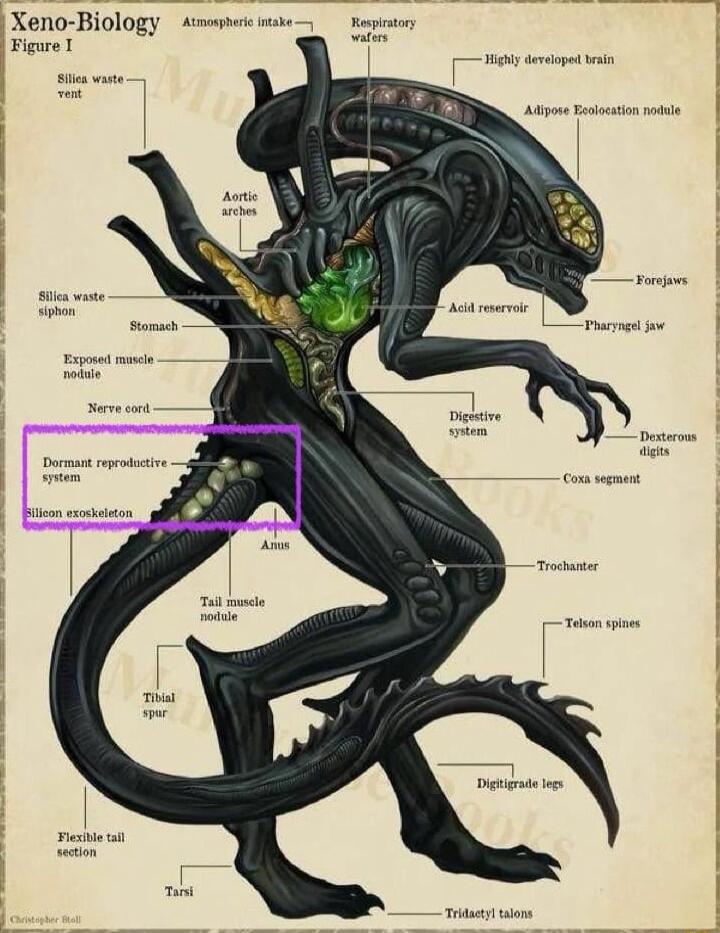 Xeno Biology Figure 1